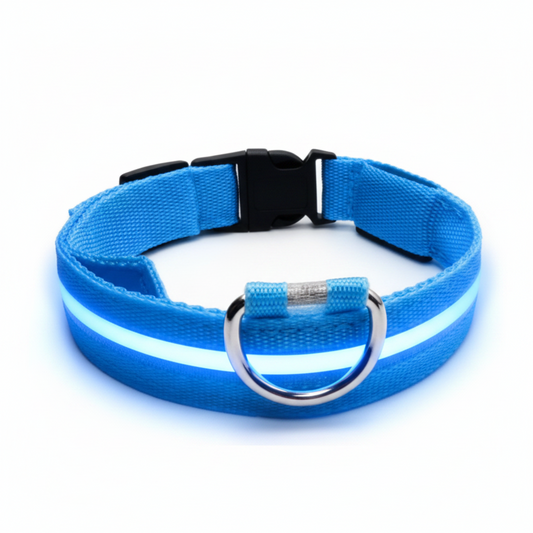 Night Rover — LED Safety Collar