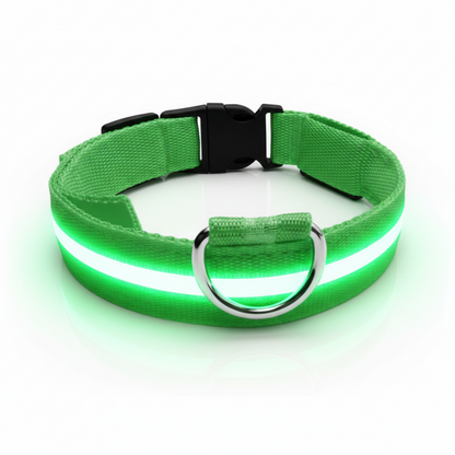 Night Rover — LED Safety Collar