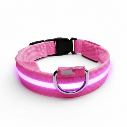 Night Rover — LED Safety Collar