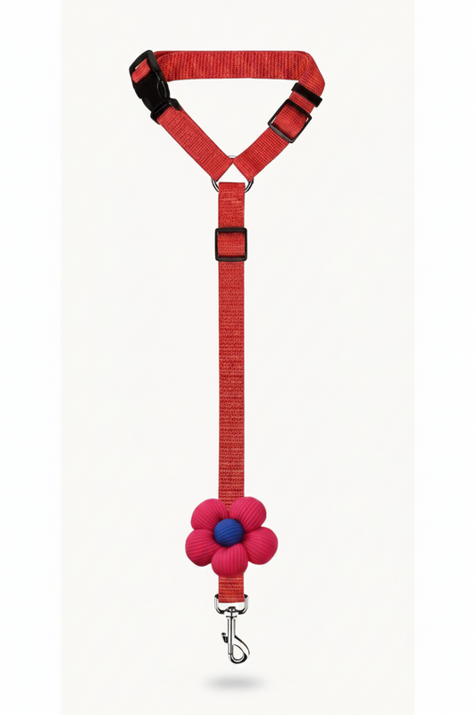 Safe Seat — Dog Car Seat Belt