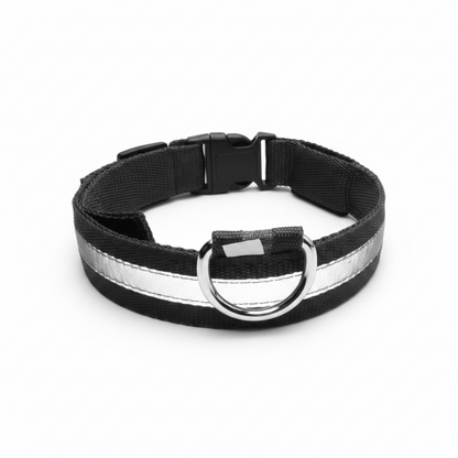 Night Rover — LED Safety Collar